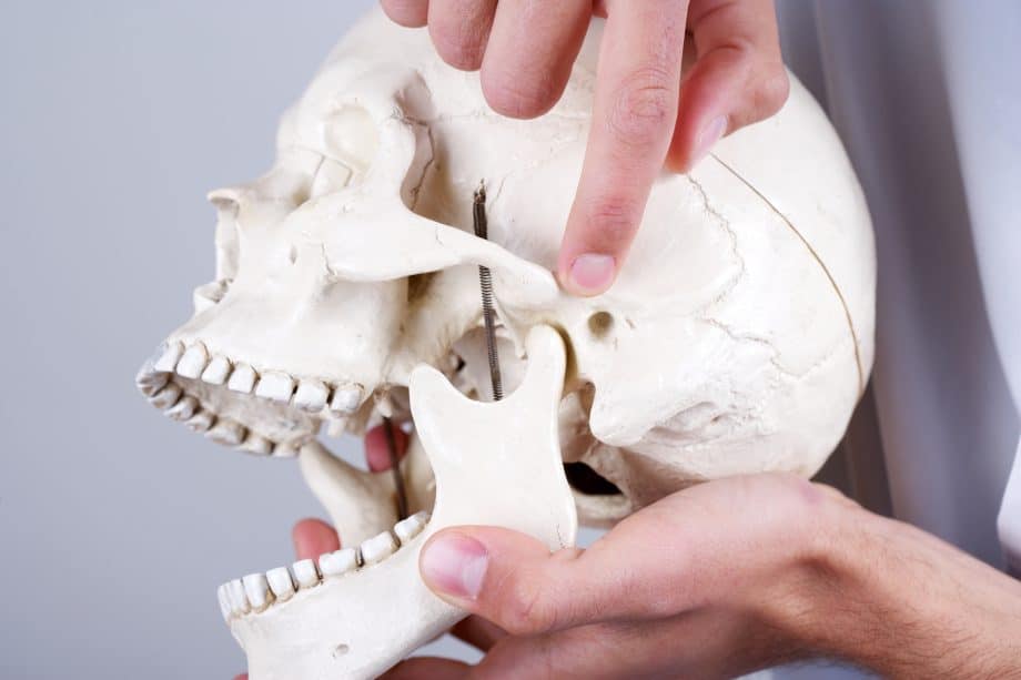 doctor showing temporomandibular joint