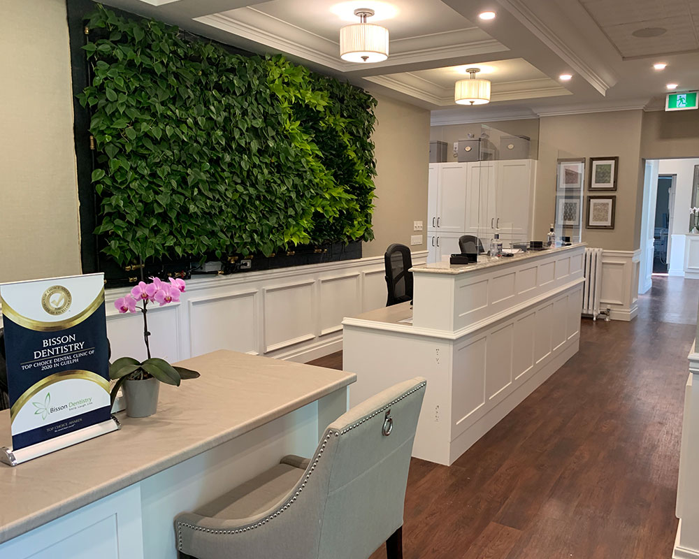 White reception desk with a faux ivy wall behind